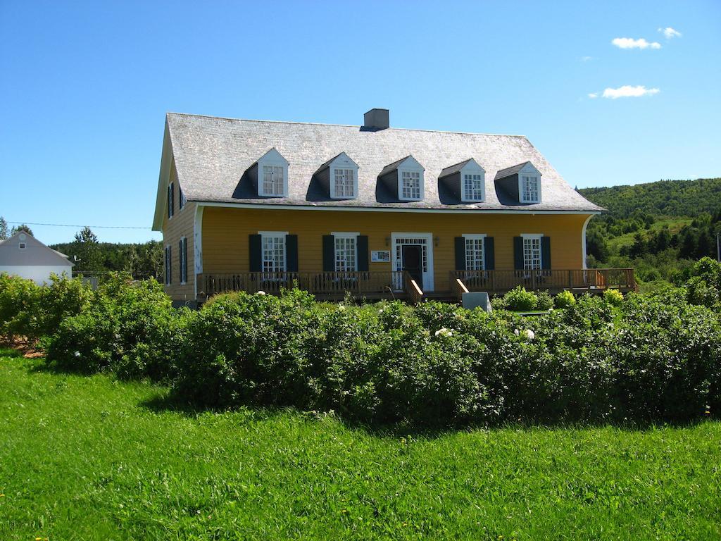 Motel Le Noroit L'Anse-au-Griffon Kültér fotó